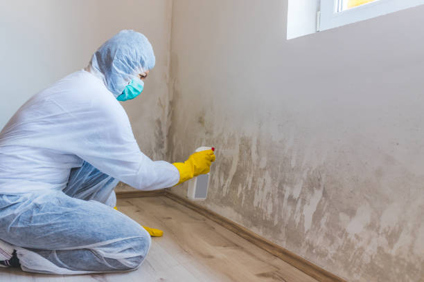 Hvac And Air Duct Mold Remediation inspection of HVAC system in North Bergen