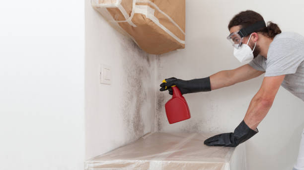 Attic Mold Remediation treatment on roof deck in North Bergen