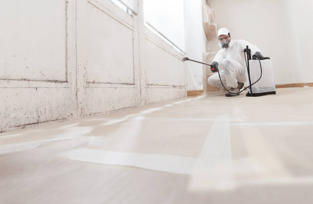 Black mold remediation team in North Bergen